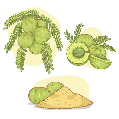 Amla