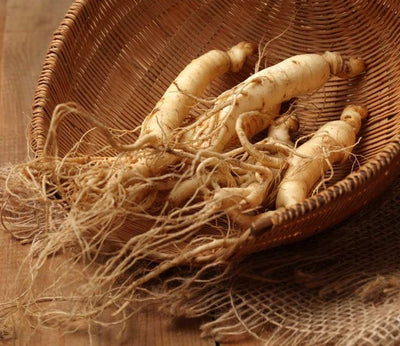 Ginseng